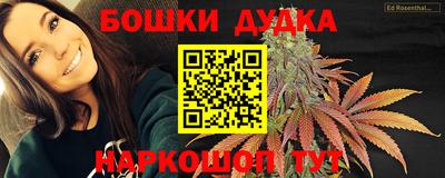 spice Гусиноозёрск