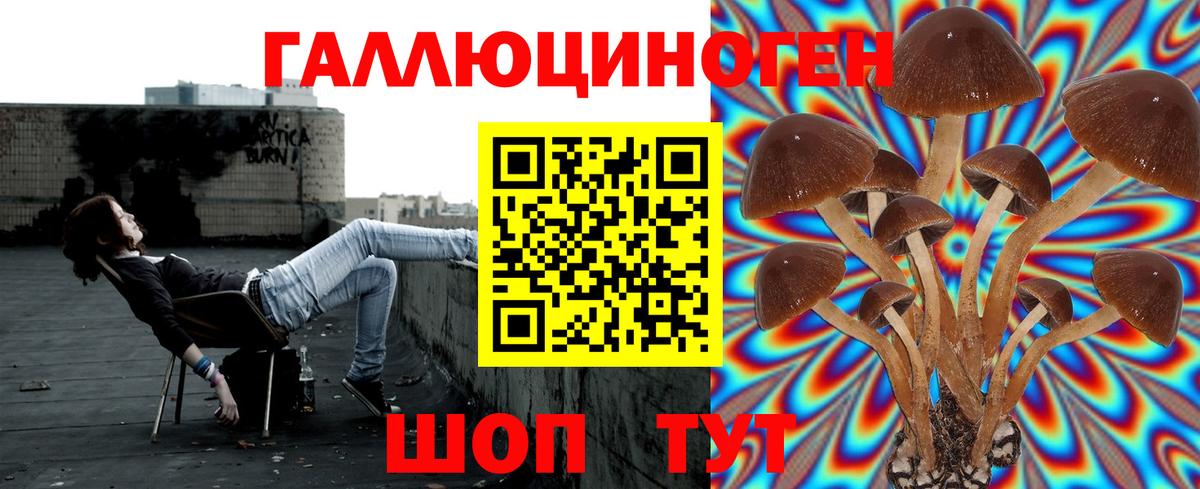 Камень-на-Оби  Галлюциногенные грибы Psilocybine cubensis  Галлюциногенные грибы прущие грибы  Вход с VPN 
