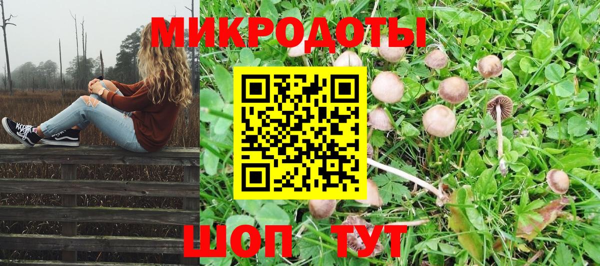 Псилоцибиновые грибы мицелий Камень-на-Оби